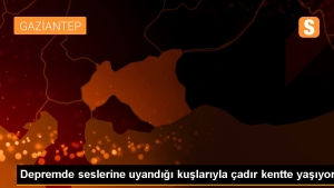 zelzelede-seslerine-uyandigi-kuslariyla-cadir-kentte-yasiyor-NuMy9FM1.jpg