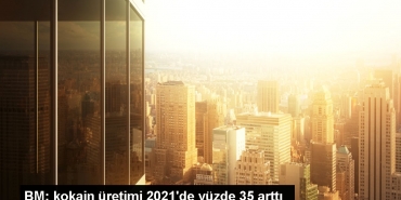 bm-kokain-uretimi-2021de-yuzde-35-artti-N8bDZOOO.jpg