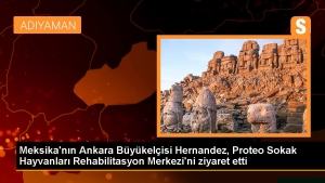 meksikanin-ankara-buyukelcisi-hernandez-proteo-sokak-hayvanlari-rehabilitasyon-merkezini-ziyaret-etti-vJ9bkn1j.jpg