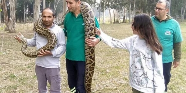 piton-ve-boa-yilanlarinin-korkusuz-bakicilari-Xnyyrg7G.jpg