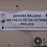 senoba-beldesinde-vatandasa-fiyatsiz-10-bin-meyve-fidani-hibe-edildi-Ew5e7FTj.jpg