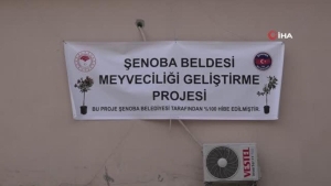 senoba-beldesinde-vatandasa-fiyatsiz-10-bin-meyve-fidani-hibe-edildi-Ew5e7FTj.jpg