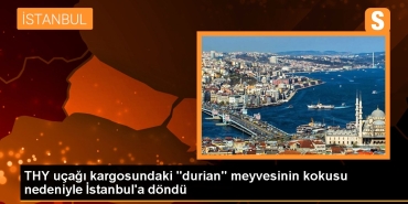 thy-ucagi-kargosundaki-durian-meyvesinin-kokusu-nedeniyle-istanbula-dondu-d2KNvkcx.jpg