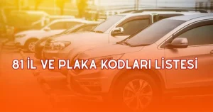 81-vilayet-ve-plaka-kodlari-listesi-turkiye-plaka-kodlari-2025-MsvMSmPx.jpg