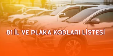 81-vilayet-ve-plaka-kodlari-listesi-turkiye-plaka-kodlari-2025-MsvMSmPx.jpg