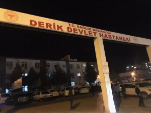 mardinde-14-yasindaki-elif-silahla-yaralanarak-hayatini-kaybetti-L7JsavM8.jpg