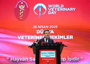 veteriner-doktorlar-sahipsiz-kopek-probleminin-tahlilinde-daha-fazla-misyon-ustlenecek-zTy9u5Fn.jpg