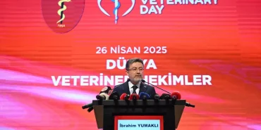 veteriner-doktorlar-sahipsiz-kopek-probleminin-tahlilinde-daha-fazla-misyon-ustlenecek-zTy9u5Fn.jpg