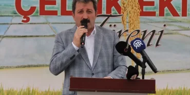 bafra-ovasinda-celtik-ekimi-basladi-nONuk97N.jpg