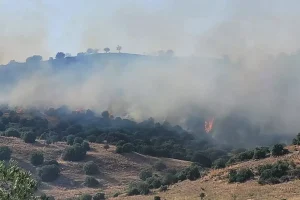 aydinda-korkutan-yangin-3-kisi-hastanelik-oldu-c93dBVAk.jpg
