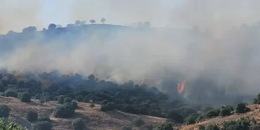 aydinda-korkutan-yangin-3-kisi-hastanelik-oldu-c93dBVAk.jpg
