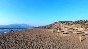 caretta-caretta-guzel-izmir-sinyali-kesildi-I4Rxea1l.jpg