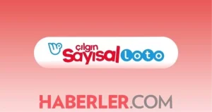 cilgin-sayisal-loto-cekilis-sonuclari-sorgulama-ulusal-piyango-online-cilgin-sayisal-loto-cekilis-sonuclari-nasil-nereden-ogrenilir-11-haziran-2025-B4Wt5mDT.jpg
