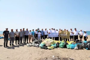 deniz-kaplumbagalari-gununde-kiyi-pakligi-mHMCrBdh.jpg