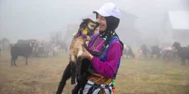 hendekte-renkli-yayla-gocu-LQlck9Ek.jpg