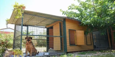 izmirde-yurt-disindan-talep-goren-kopek-oteli-CxbPKWGU.jpg