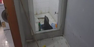 kanalizasyon-taskini-daireleri-kan-basti-Y7OhAYVu.jpg