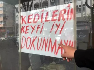kedili-dukkan-tartismasi-eskisehirde-zGLt99bV.jpg