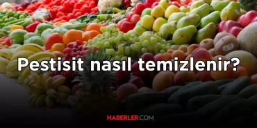 pestisit-nasil-temizlenir-meyve-ve-sebzelerdeki-pestisitler-nasil-arindirilir-eCJmlmnx.jpg
