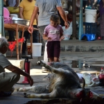 cocuklari-travmadan-muhafaza-teklifleri-9ZBN48Zc.jpg