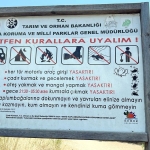 deniz-kaplumbagalari-icin-kumsallara-giris-yasagi-iqxOs9qk.jpg