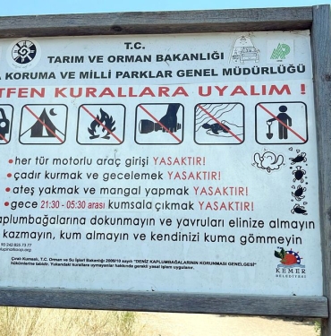 deniz-kaplumbagalari-icin-kumsallara-giris-yasagi-iqxOs9qk.jpg