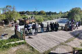 inci-kefali-gocu-hayal-kirikligina-yol-acti-EhxfUcdO.jpg