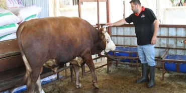 kurban-kesitinde-dikkatli-olun-W94MOgXc.jpg