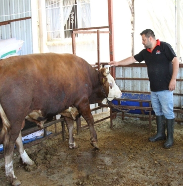 kurban-kesitinde-dikkatli-olun-W94MOgXc.jpg
