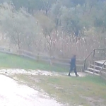 rukiye-gorginin-cansiz-vucudu-gol-etrafinda-bulundu-VXpZ8FSZ.jpg