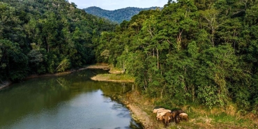 xishuangbanna-muhafaza-alaninin-zenginligi-6ZmJZbNg.jpg