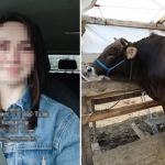 370-bin-tllik-kurbani-210-bin-tlye-aldi-sordugu-soru-olay-oldu-drb4FUPH.jpg