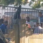 pendikte-mangal-yasagina-cezali-mudahale-fJf3v5Yt.jpg