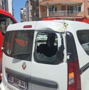 tarihi-cinar-agactan-devrildi-6jfAjyMV.jpg
