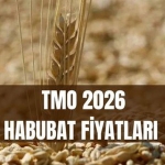 tmo-habubat-fiyatlari-2026-bugday-ve-arpa-alim-satim-fiyatlari-ne-kadar-oldu-habubat-satislari-ne-vakit-baslayacak-EttiS6dq.jpg