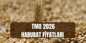tmo-habubat-fiyatlari-2026-bugday-ve-arpa-alim-satim-fiyatlari-ne-kadar-oldu-habubat-satislari-ne-vakit-baslayacak-EttiS6dq.jpg