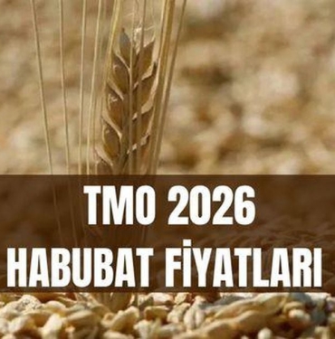 tmo-habubat-fiyatlari-2026-bugday-ve-arpa-alim-satim-fiyatlari-ne-kadar-oldu-habubat-satislari-ne-vakit-baslayacak-EttiS6dq.jpg